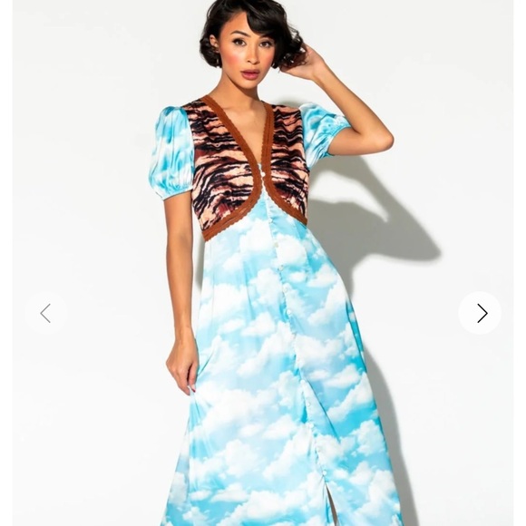 DRESSED IN LALA ORIGINAL: Serendipitous Dress in Tiger + Cloud - Picture 4 of 4